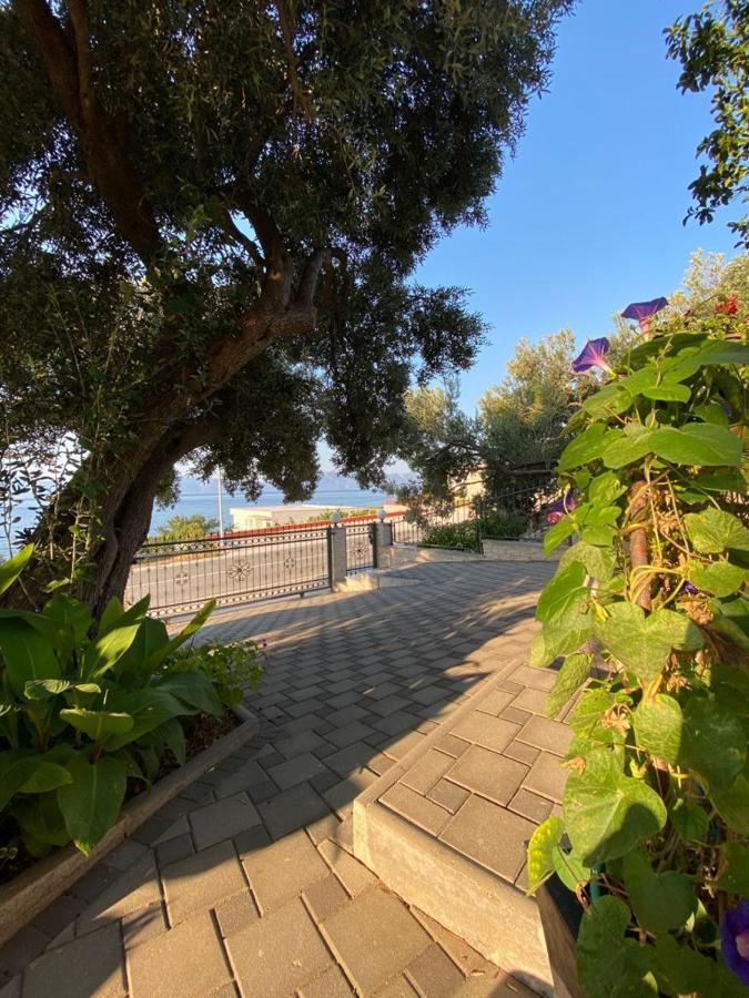 Tole Villa Podaca Εξωτερικό φωτογραφία